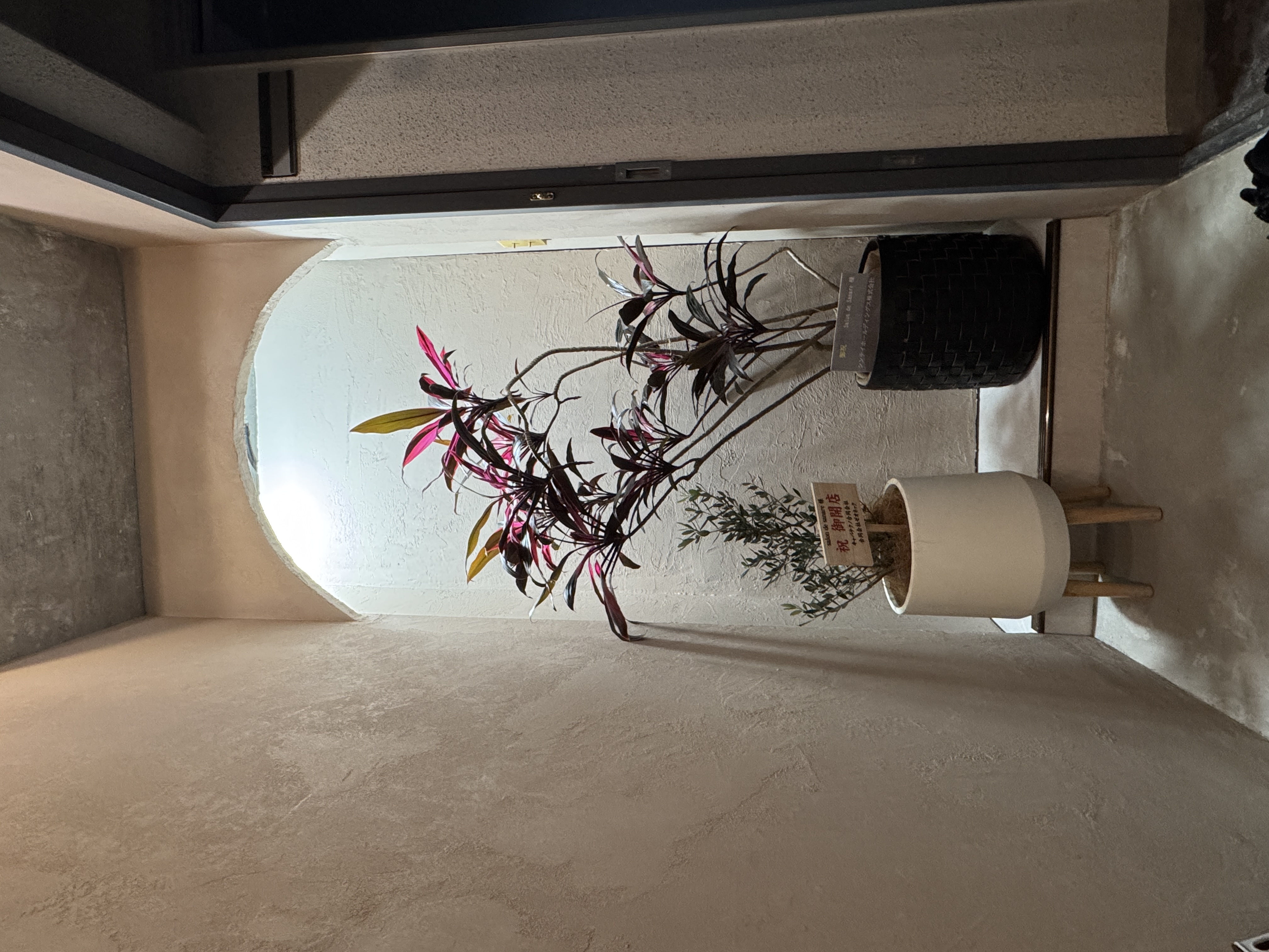 実店舗のアーチの前に置かれた観葉植物